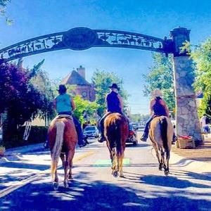 Meet your Posher, Amy